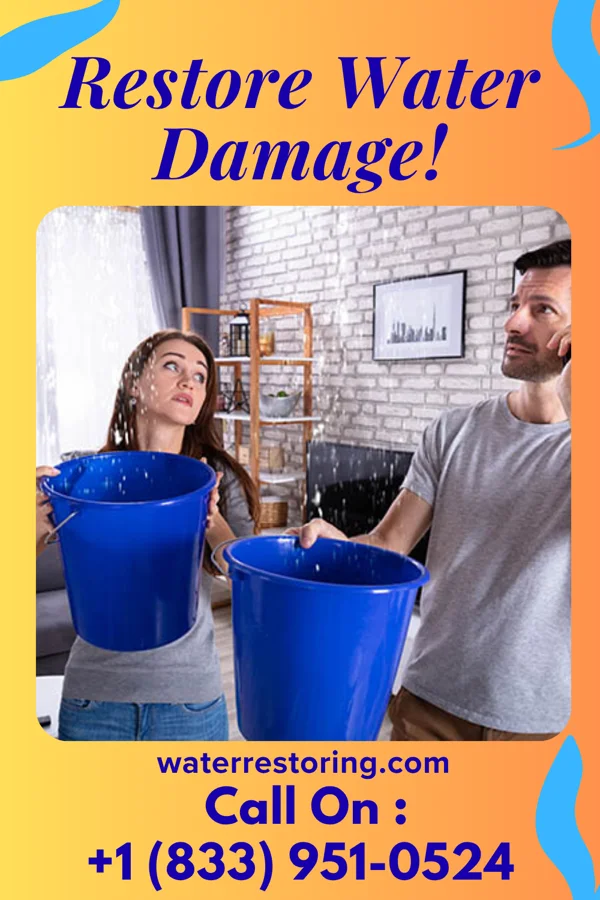 water restoration Stellar Water Restoration Group Alexandria