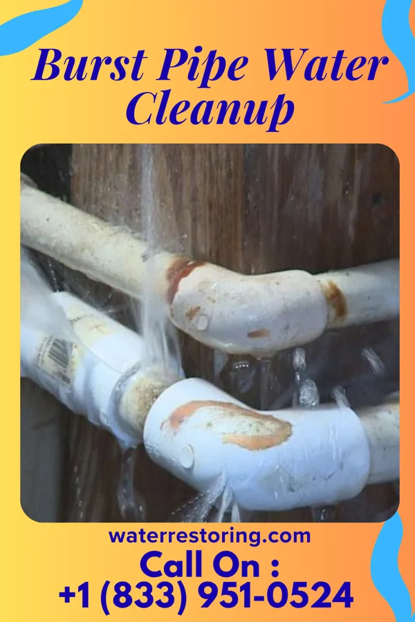 Burst Pipe Water Cleanup in Alexandria, TN